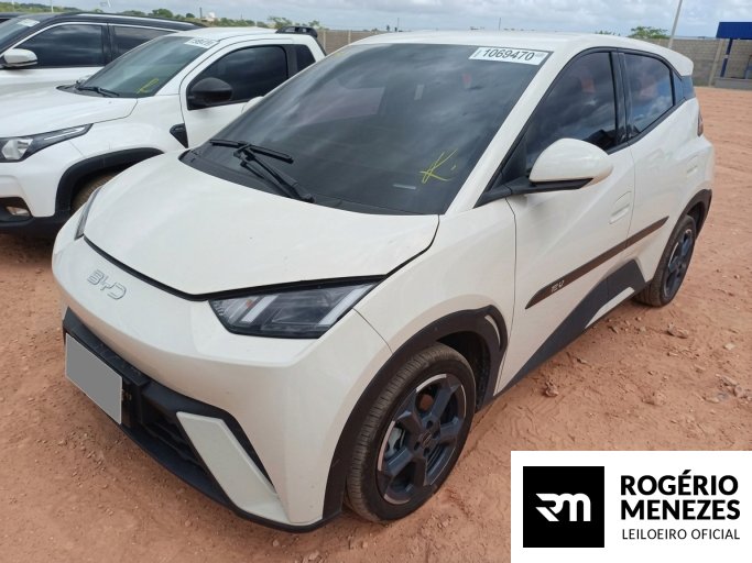 BYD DOLPHIN MINI 24/25